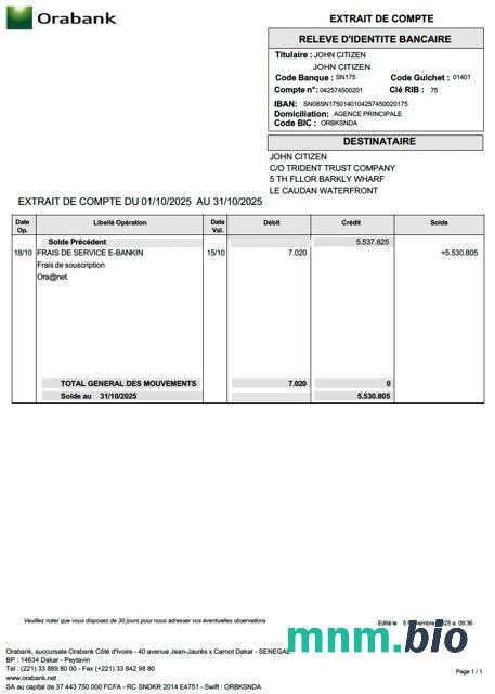 Szablon wyciągu z banku finansowego Togo w programie Word i PDF